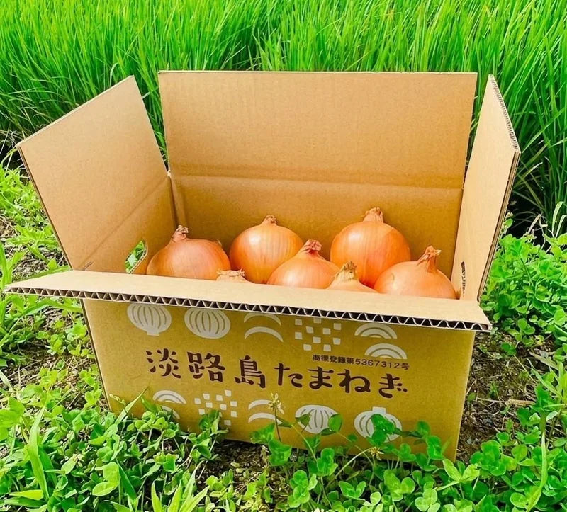 一九六農園が育てた淡路島産玉ねぎ「いくたま」
