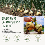 淡路島たまねぎ 産地直送