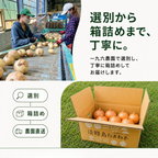 淡路島たまねぎ 産地直送