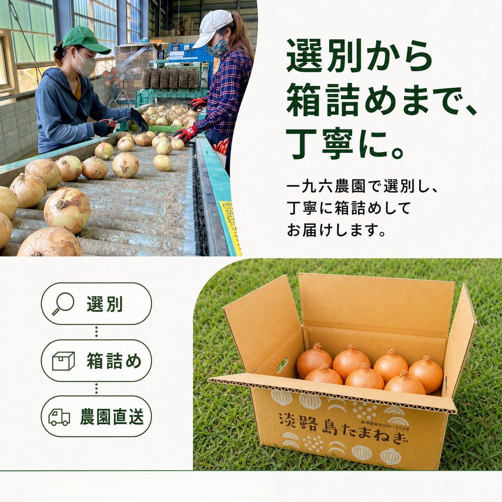 淡路島たまねぎ 訳あり 産地直送