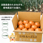一九六農園　淡路島たまねぎ 産地直送　秀品