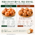 一九六農園　淡路島たまねぎ 産地直送　秀品