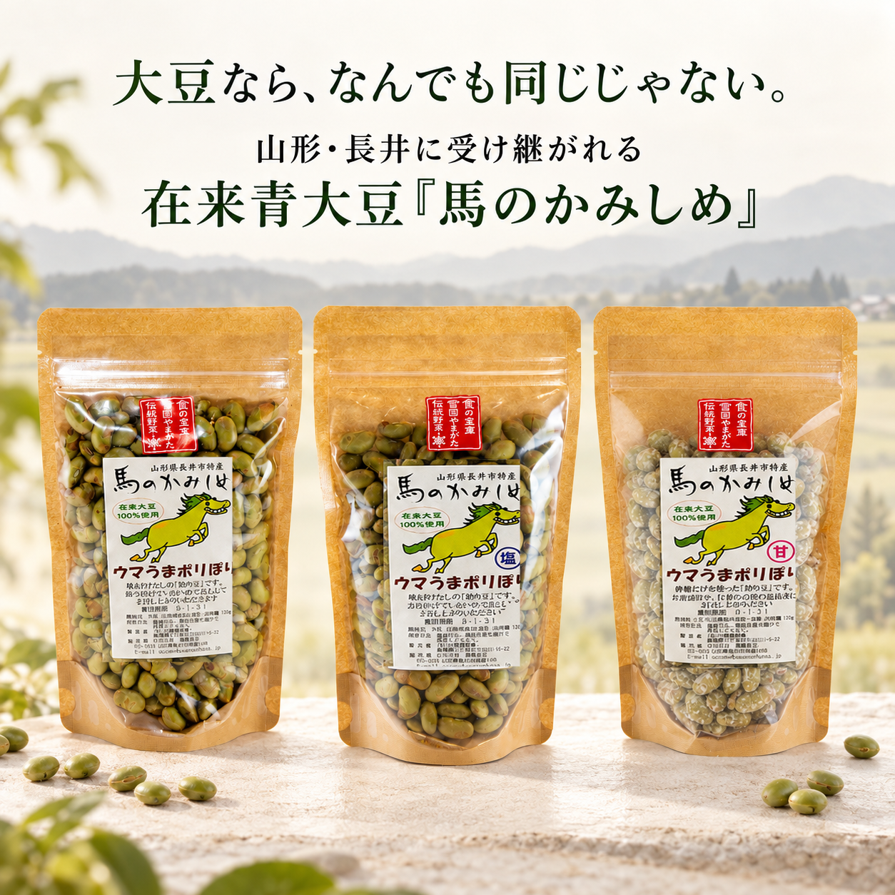 山形・長井の在来青大豆「馬のかみしめ」を使ったウマうまポリぽり