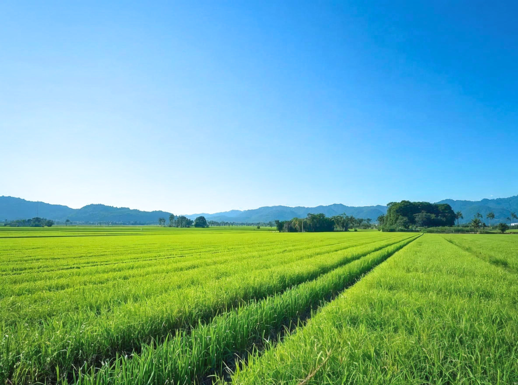 Japanese nature landscape